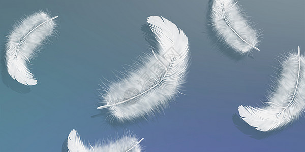 白羽毛创意背景图片