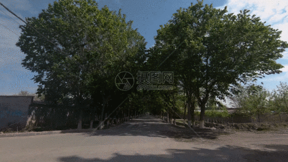 新疆农村村道乡间小道行GIF图片
