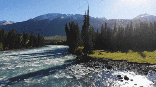 喀纳斯湾新疆喀纳斯雪山河流GIF高清图片