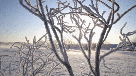 雪景GIF北国风光高清图片