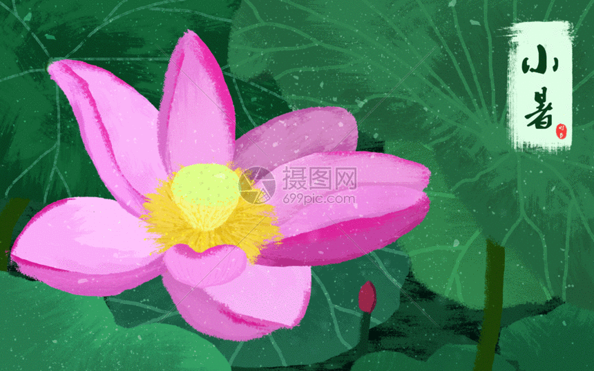 夏天小暑节气gif动图图片-正版gif素材401484669-摄