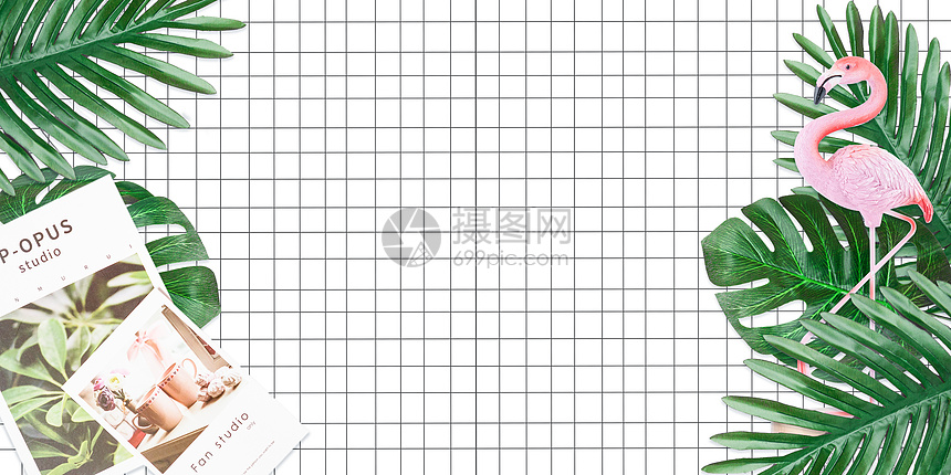 小清新植物背景图片