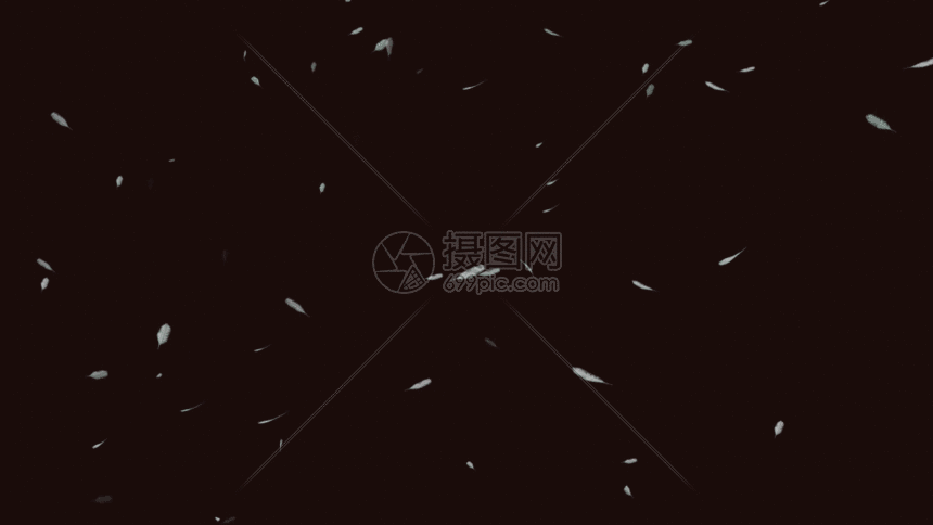 羽毛飘落gif