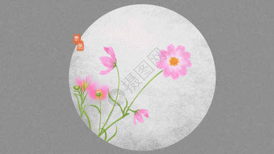 免费下载         收藏成功 vrf高清图片 春天花朵gif