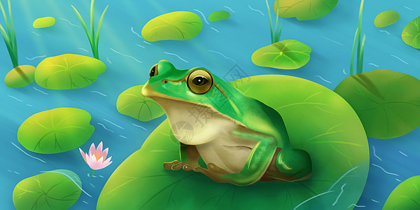 香辣牛蛙夏天的青蛙插画