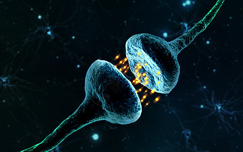 神经末梢神经元对接设计图片
