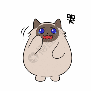 动物哭图片