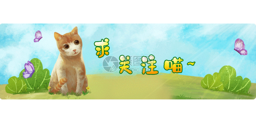 gif动图 新媒体 点击关注喵gif.psd,gif 860_430