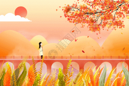 枫叶风景秋季夕阳铁路下赏枫叶gif高清图片