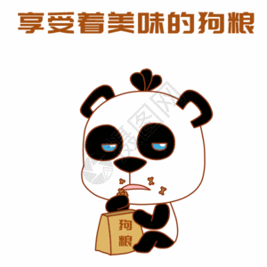 鲤鱼美味熊猫吃狗粮表情包gif高清图片