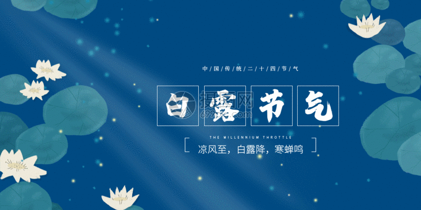 二十四节气白露微信公众号封面gif