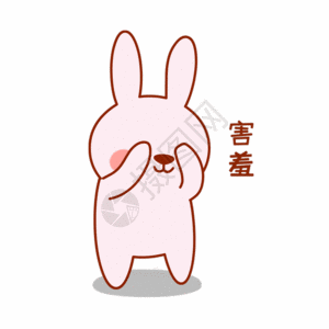 gif  |                         害羞兔子guifgif