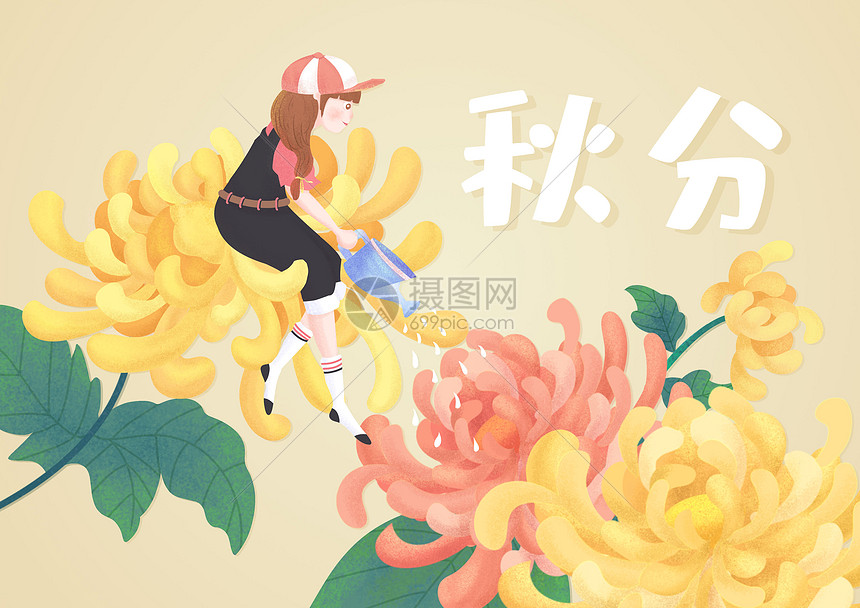 24节气秋分菊花绽放小清新插画图片