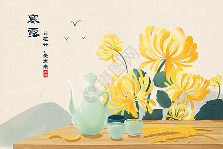 寒露节气饮菊花酒插画图片素材