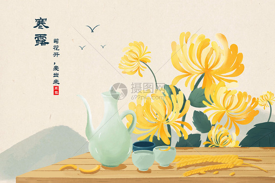 寒露节气饮菊花酒插画图片