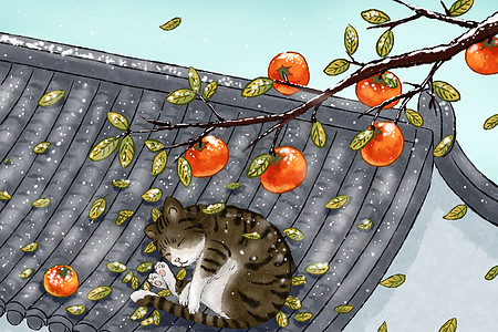 落霜的柿子树和屋顶的猫高清图片