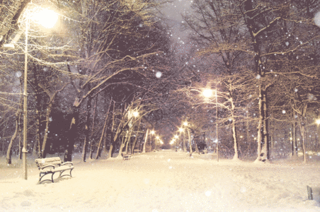 冬至风景冬天雪景GIF高清图片