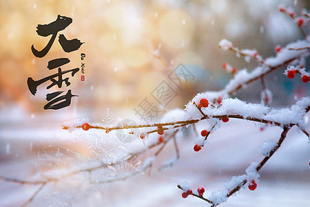 雪发芽大雪设计图片