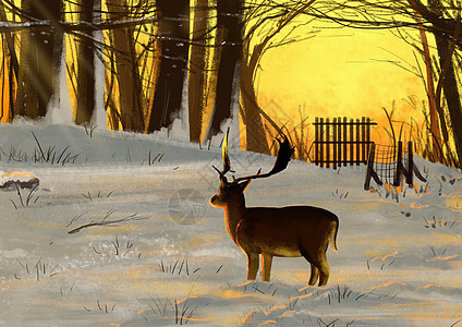 雪中孤独的鹿图片