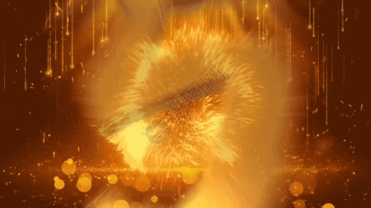 火焰翅膀震撼5秒倒计时GIF高清图片