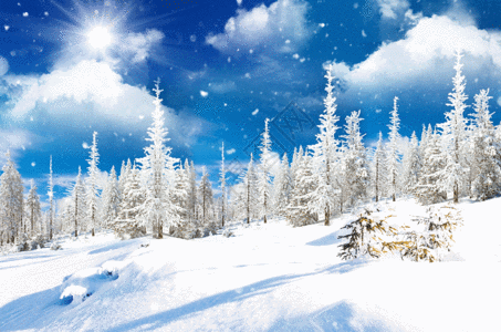 冬天风景GIF图片