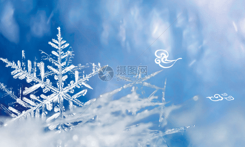 传统24节气小寒海报gif动图图片-正版gif素材-摄