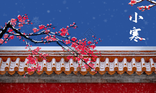 红色屋顶简约传统节气小寒海报GIF高清图片