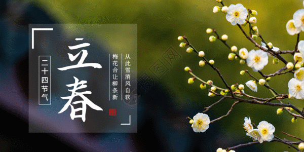 立春节气海报二十四节气立春微信公众号封面GIF高清图片