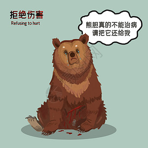 保护动物禁止狩猎狗熊棕熊高清图片