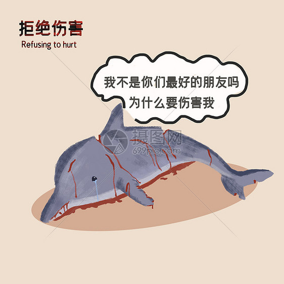 保护动物拒接伤害拒绝杀戮海豚图片