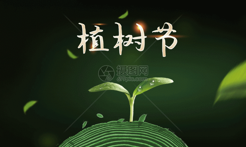 绿色简约312植树节公益海报gif