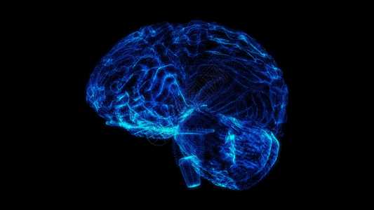 大脑科技三维大脑全息粒子大脑视频素材GIF高清图片