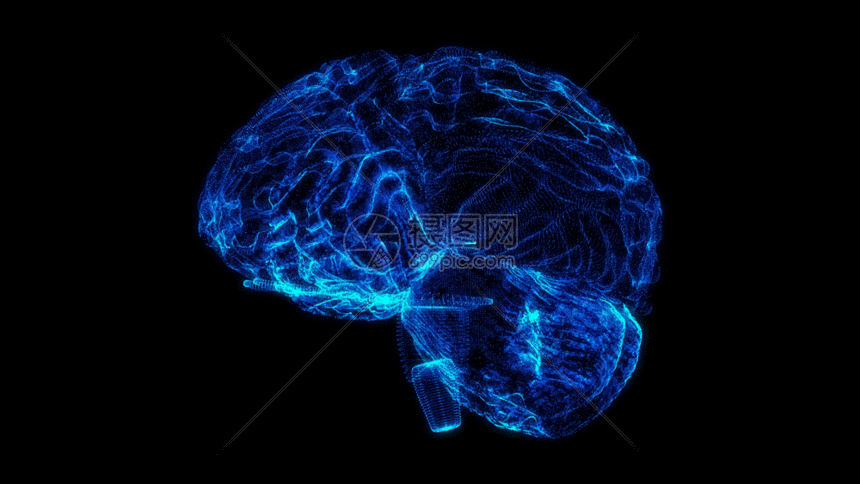 三维大脑全息粒子大脑视频素材gif