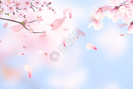 粉色浪漫背景春天樱花背景设计图片