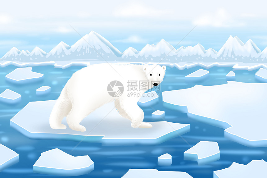 融化冰块上的北极熊图片