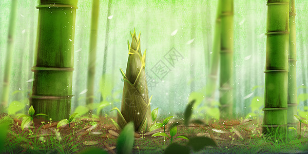 竹林俯视春天春分节气生长的竹笋插画