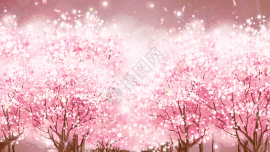 动态春天温馨樱花树穿梭背景视频元素GIF图片