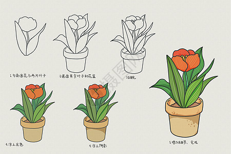 花卉简笔画教程图书高清图片素材