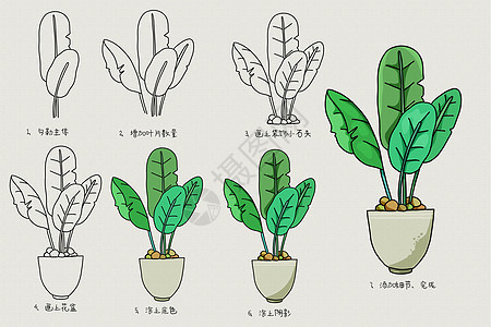 绿叶盆栽简笔画教程儿童高清图片素材