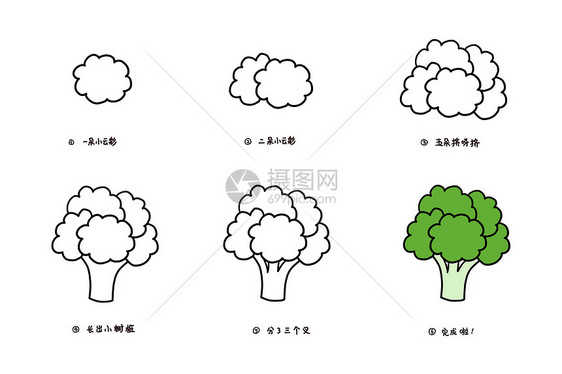 西兰花简笔画教程图片