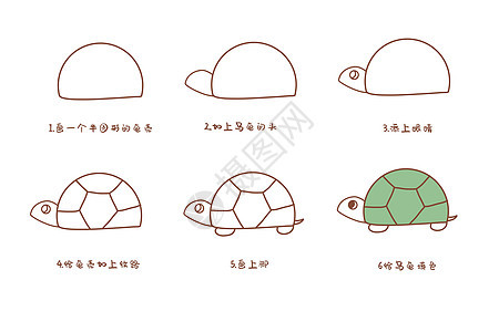 乌龟简笔画步骤图片