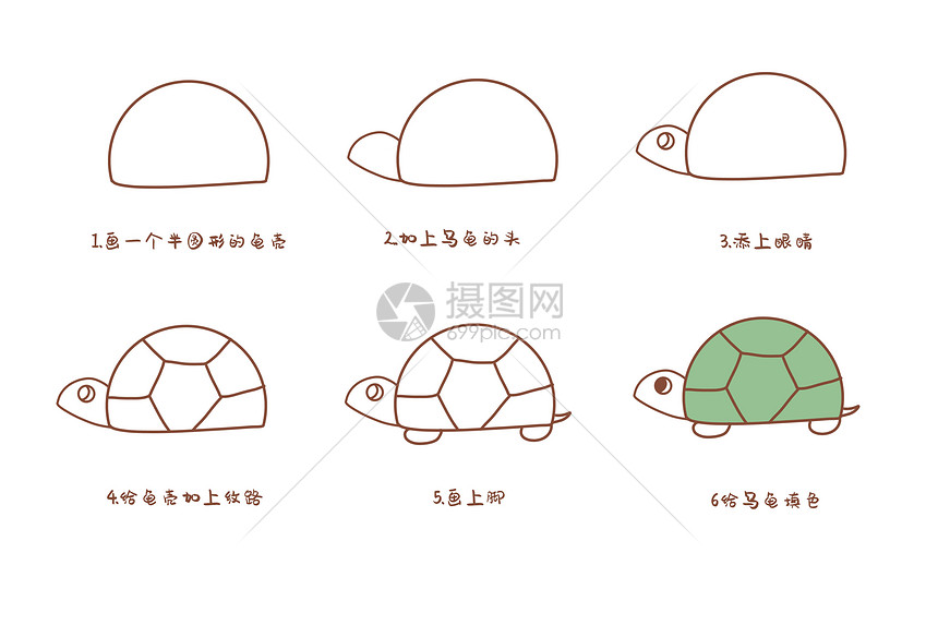 乌龟简笔画步骤图片