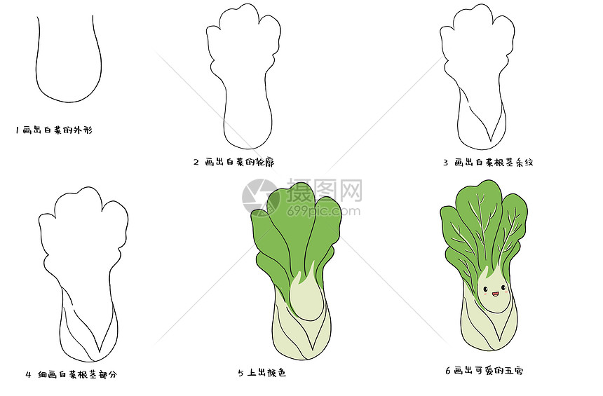 白菜简笔画