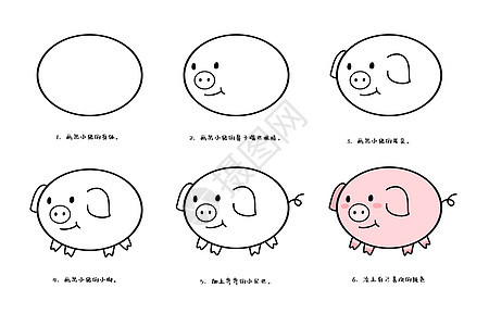 小猪简笔画教程图片