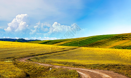 高山平原美丽的乡村道路设计图片