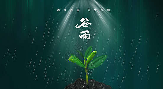 谷雨图片谷雨设计图片