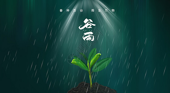 谷雨图片