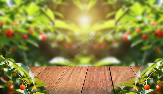 创意果园绿色木板背景高清图片