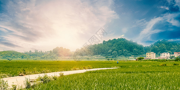 乡村风景乡村公路背景设计图片