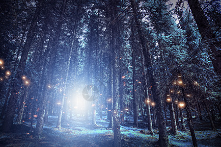 森林夜晚蓝色梦幻森林设计图片